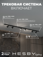 Комплект трековый Hesby Lighting Skylite No3 HSBL_kompl_S003_NI2B3K