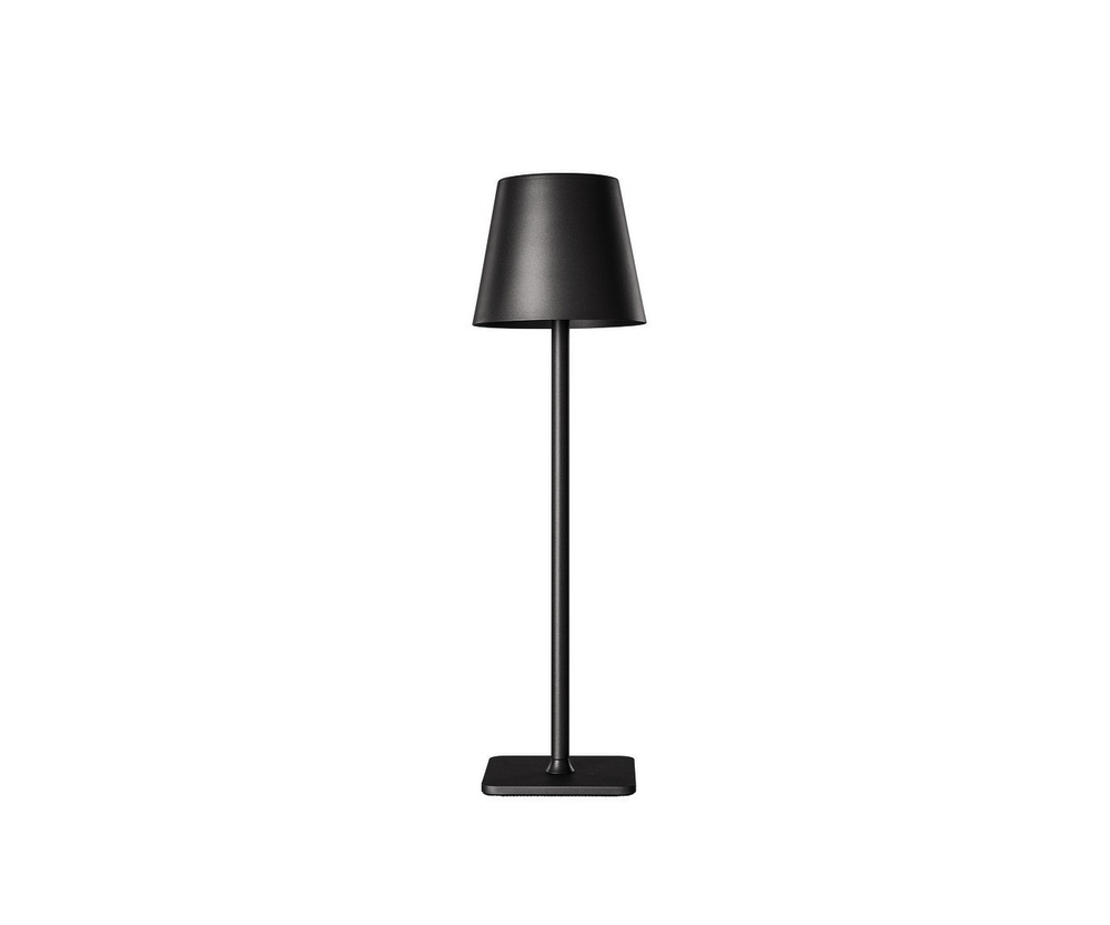 Аккумуляторный светильник Kink Light Никки 07203-T,19
