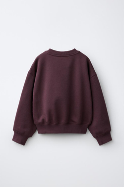 ZARA ТОЛСТОВКА С ПРИНТОМ В СТИЛЕ ПРЕППИ, БУРГУНДИ