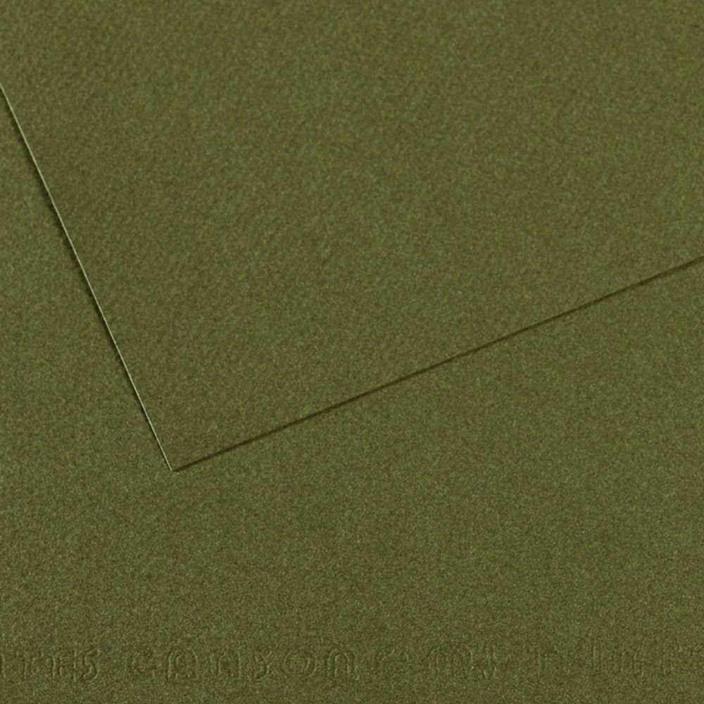 Бумага для пастели Mi-Teintes 160 г/м², 75х110 см, 10 л, №448 Зеленый плющ, Canson, C31033S166 Бумага для пастели Mi-Teintes 160 г/м², 75х110 см, 10 л, №448 Зеленый плющ, Canson, C31033S166
