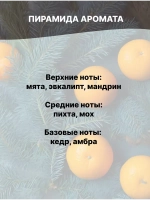 Отдушка Голубая пихта и мандарин 50 гр