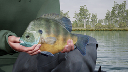 Fishing Sim World: Quad Lake Pass (для ПК, цифровой код доступа)
