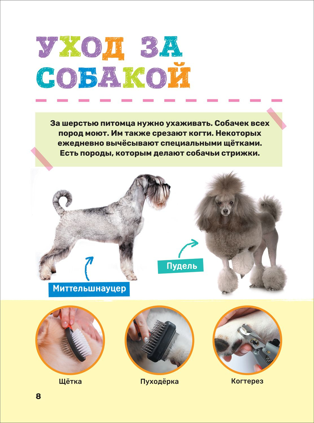 Домашние питомцы. Первая энциклопедия малыша