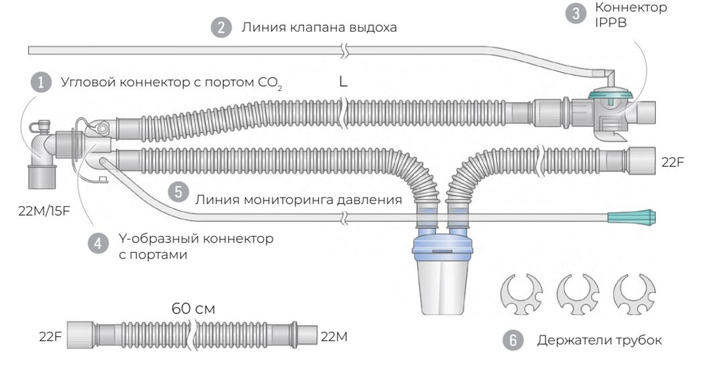 Контуры IPPB гофрированные взрослые, ø 22 мм (Наименование: Для Dräger Oxylog 3000, Длина контура, L: 150 см, Упаковка (инд./тр.): 1/15)