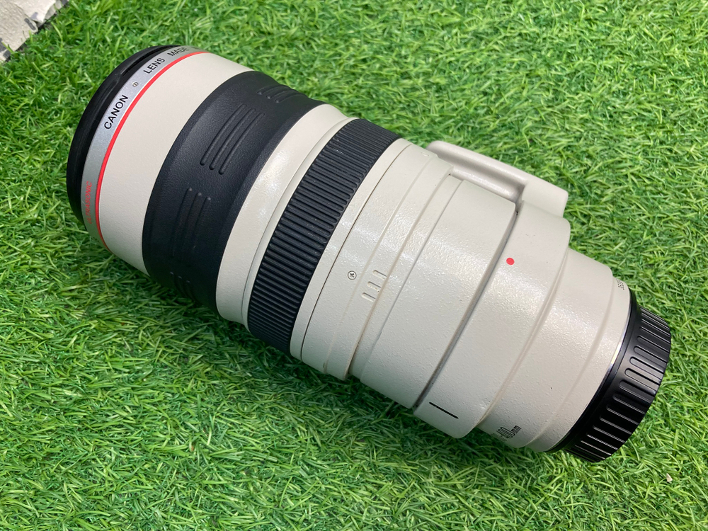Canon EF 100-400mm 4.5-5.6L IS USM