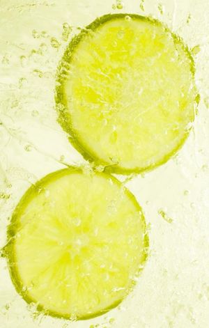 Herve Gambs Paris Ice Lemon