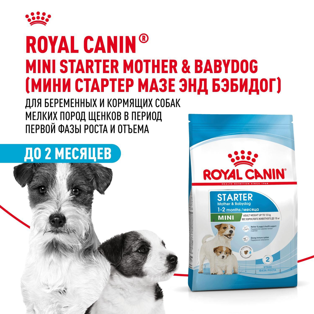 Royal Canin Mini Starter Мини Стартер Корм сухой для собак мелких пород в конце беременности в период лактации для щенков до 2-х месяцев 3кг