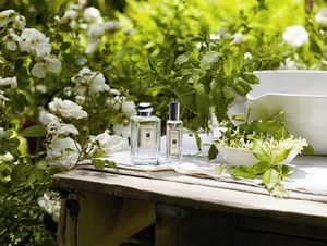 Jo Malone London Honeysuckle and Jasmine