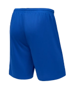 Шорты баскетбольные Camp Basic, синий