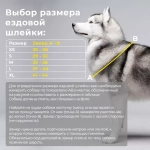 Шлейка ездовая Этно мультиколор Lapalandia