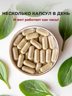 Псиллиум (210 капсул)