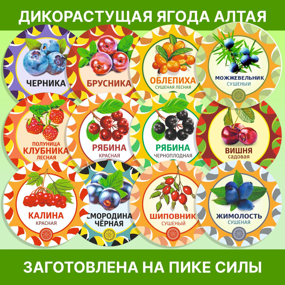 Черемуха красная Алтайская