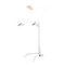 Торшер ST Luce Spruzzo SL305.505.03
