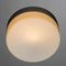 Потолочный светильник Arte Lamp Shirp A3211PL-1SI