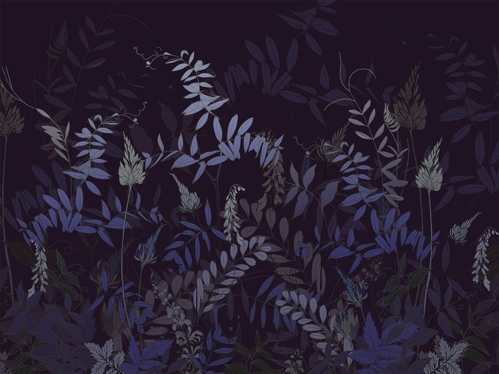BOTANICA23 21