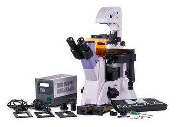 Микроскоп люминесцентный инвертированный MAGUS Lum V500
