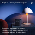Умная колонка ЯНДЕКС Станция Миди 24Вт, с Алисой на YaGPT, черный