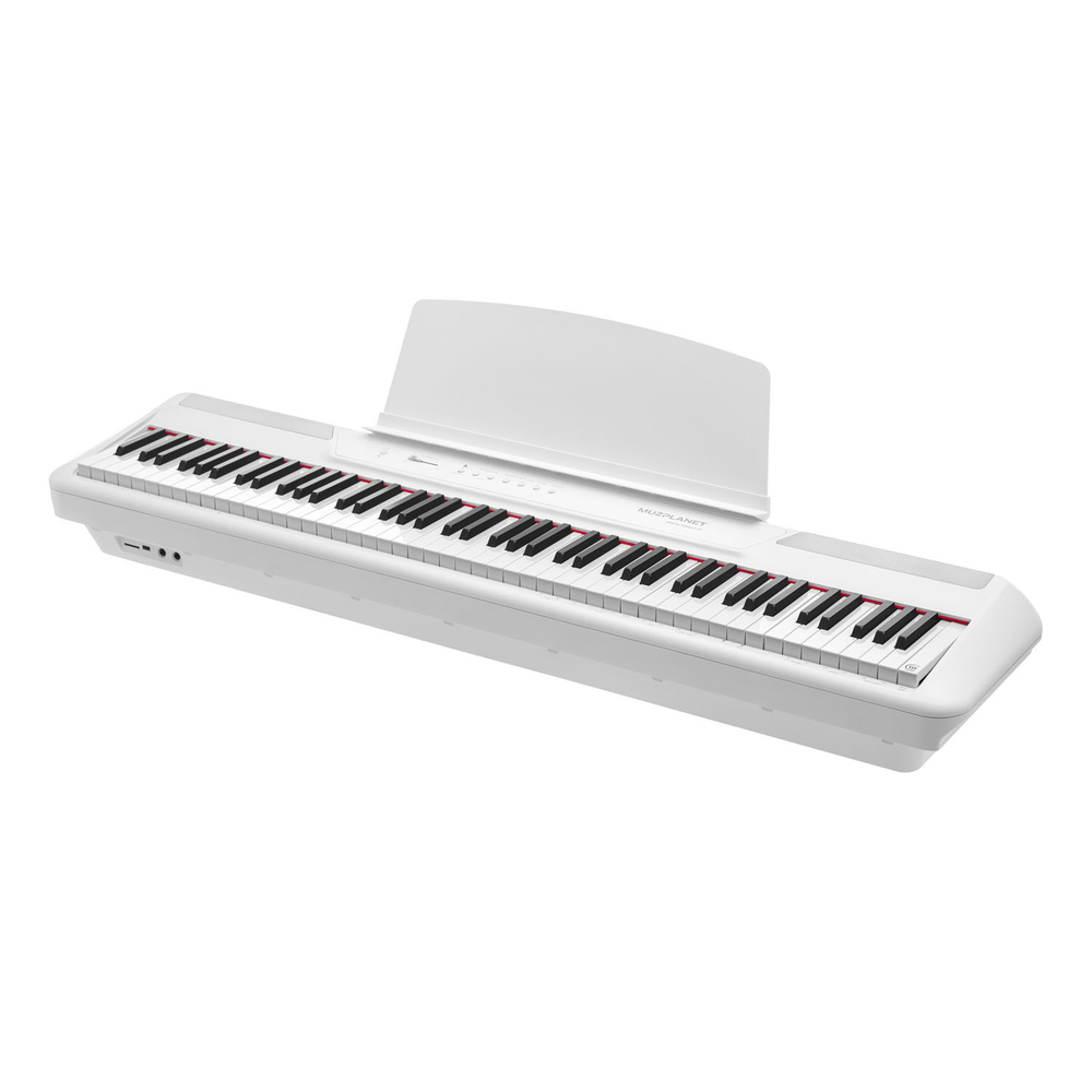 MUZPLANET P‑45