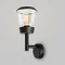 Настенный фонарь уличный Faro O039WL-01B Maytoni