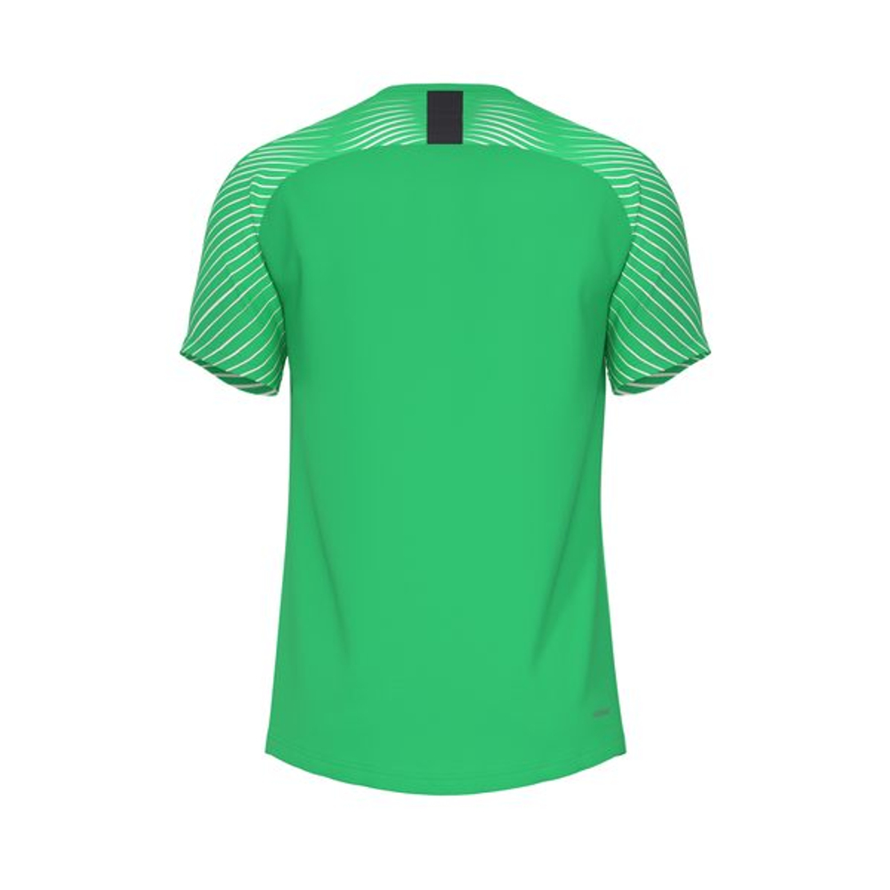 Футболка вратарская Evolution GK Jersey S/S — Light green spark