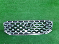 Решетка радиатора Hyundai Santa Fe 4 TM (20-24)