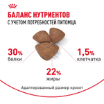Royal Canin Mini Starter Мини Стартер Корм сухой для собак мелких пород в конце беременности в период лактации для щенков до 2-х месяцев 8,5кг