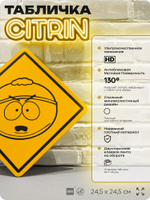 Табличка декоративная "Картман" из сериала Южный парк, South Park на дверь и стену, прикольная штука в подарок фанату, декоративный знак, 24,5х24,5 см, серия CITRIN / ЦИТРИН, Айдентика Технолоджи