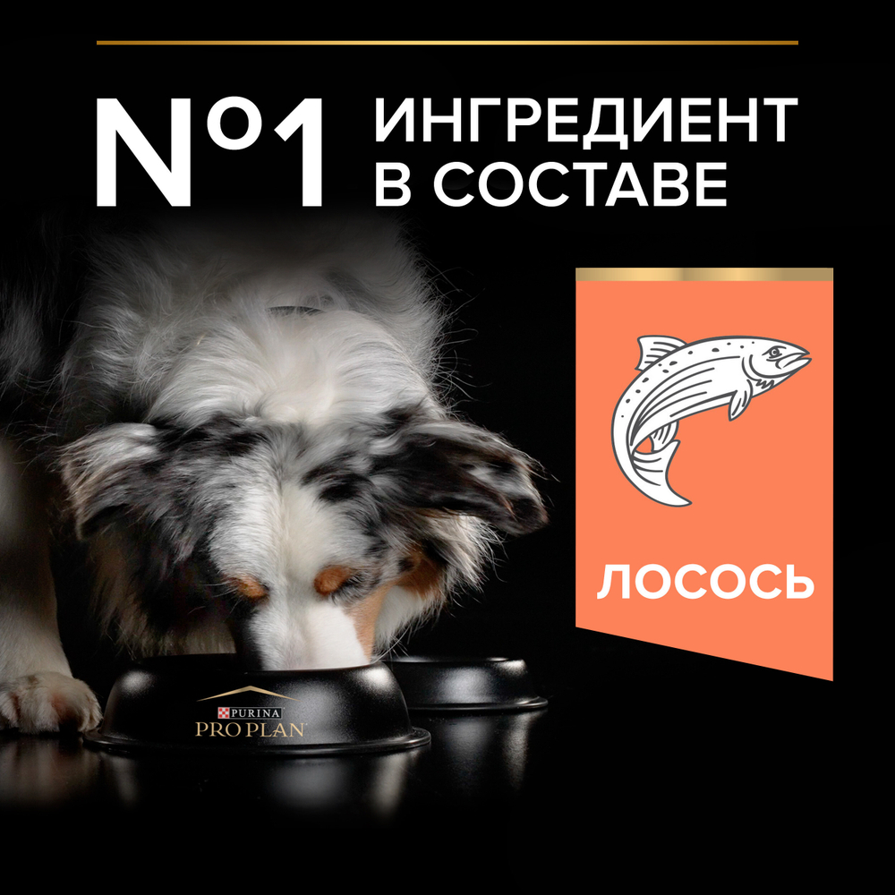 Сухой корм PRO PLAN SENSITIVE SKIN для взрослых собак средних пород с чувствительной кожей лосось 14 кг