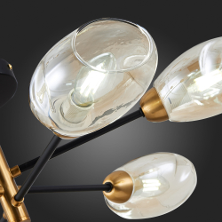 Светильник потолочный Evoluce Gloa SLE155502-06