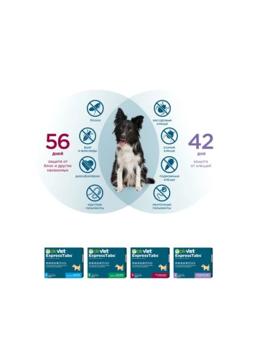 OKVET ЭкспрессТабс для собак от 30кг до 60кг 2табл