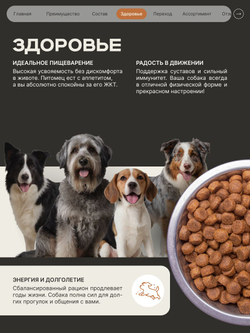 Корм сухой для пожилых собак породы Немецкая овчарка старше 5 лет, с индейкой, 12 кг, QUATTRO