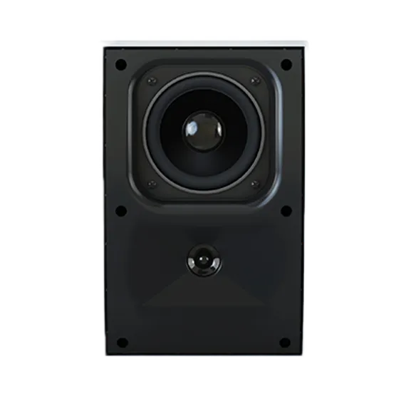 CVGAUDIO WPA10TW настенная акустическая система
