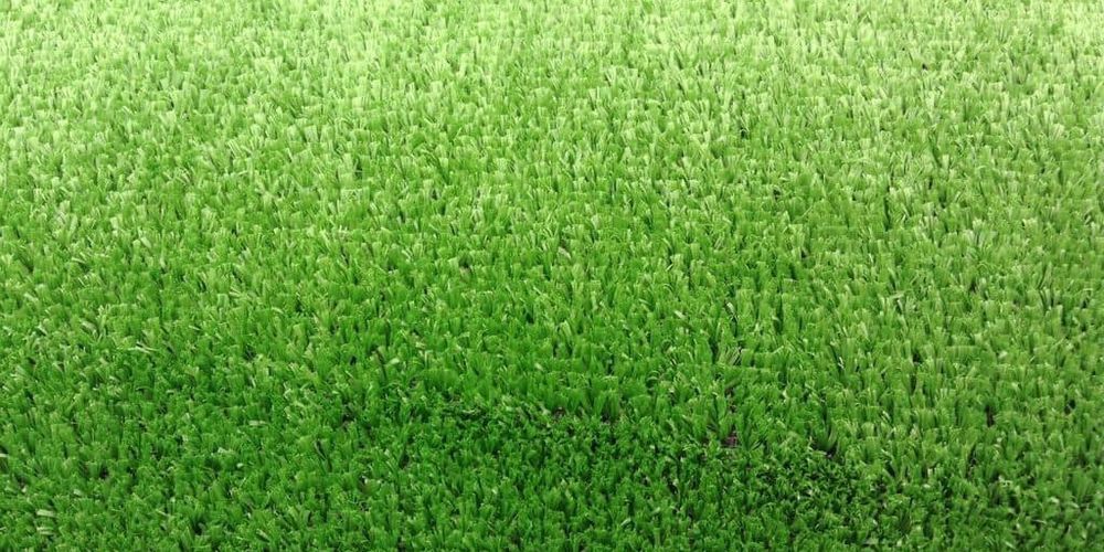 Искусственная трава Роял Тафт GRASS