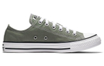Converse Chuck Taylor All Star Seasonal Color Low Top "Gray White"