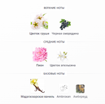 My Devotion Eau de Parfum Intense Dolce&Gabbana 100 ml (duty free парфюмерия)
