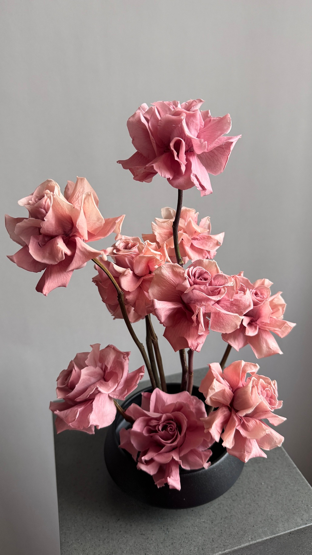 Композиция в кашпо Абион