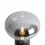 Настольная лампа декоративная Freya Moonspot FR5550TL-01MR