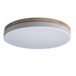 Потолочный светодиодный светильник Loft It Axel 10001/36 White