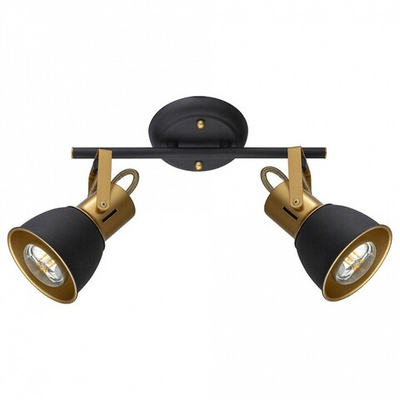 Спот Arte Lamp Jovi A1677PL-2GO