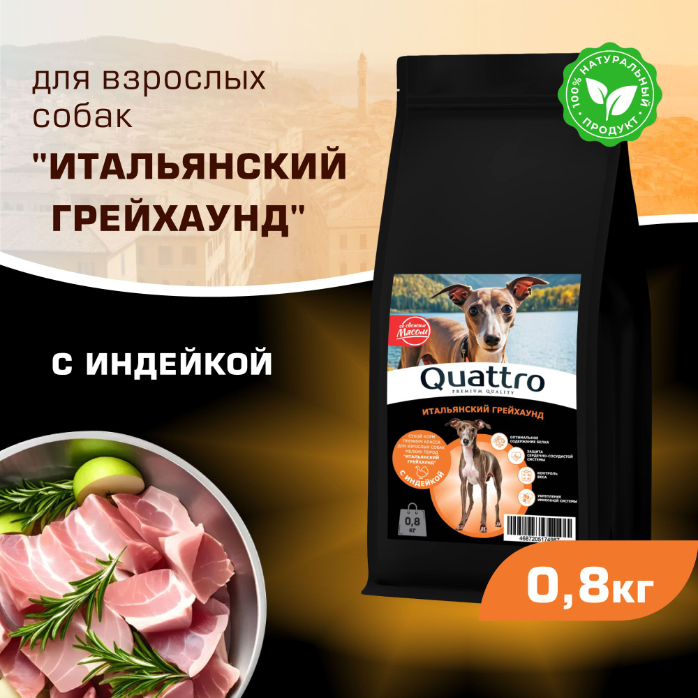 Корм сухой для взрослых собак породы Итальянский грейхаунд, с индейкой, 800 гр, QUATTRO