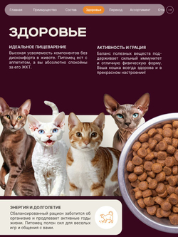 Корм сухой для кошек породы Канадский сфинкс, с индейкой, 400 гр, QUATTRO