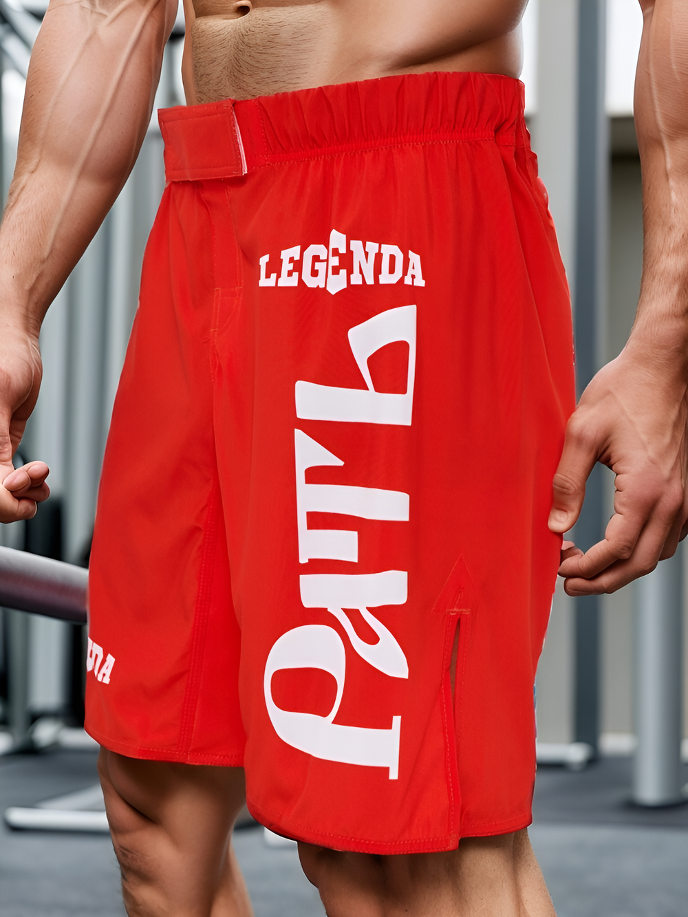 Шорты спортивные ММА LEGENDA Рать, красные