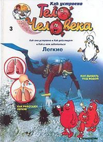 Как устроено тело человека (31 номер журналов)