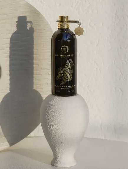 Montale Arabians Tonka