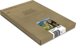 Картридж струйный Epson Multipack 6-colours 24 EasyMail C13T24284510