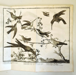 "Орнитология или метод, содержащий разделение птиц на отряды. (Ornithologie ou methode contenant la division des oiseaux en ordres)". Mathurin-Jacques Brisson (Матюрен-Жак Бриссон). 0г.