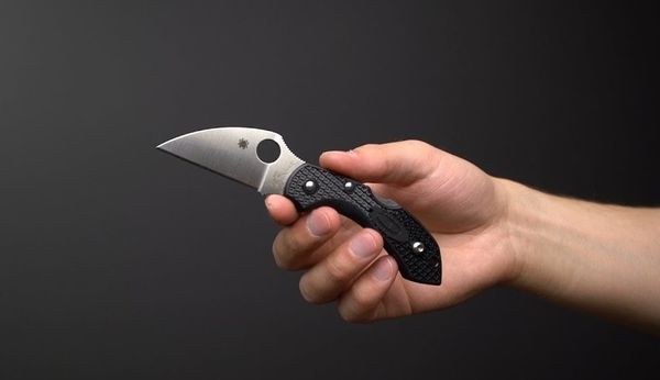 Складные ножи SPYDERCO 2023 Складные ножи SPYDERCO 2023