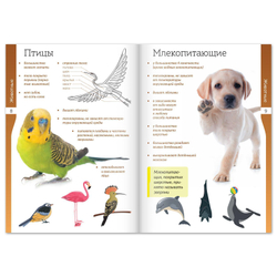 Книжки - шпаргалки «Мир природы и человека», арт. 04422