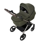Коляска 2 в 1 Anex IQ Premium