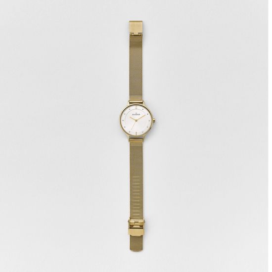 Наручные часы Skagen SKW2150